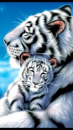 two white tiger cubs cuddle together in front of a blue sky with stars and clouds