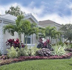 a house with lots of tropical plants in the front yard