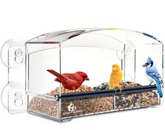 two colorful birds sitting on top of a bird feeder filled with seeds and nuts in front of a white background