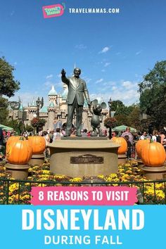 the disneyland theme park with pumpkins around it and text that reads 8 reasons to visit disneyland during fall