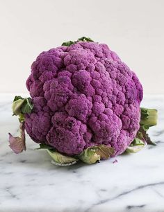 a close up of a purple flower on a marble surface