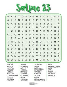 the word search for salpo 23 is shown in green and white, with words below it