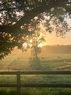 the sun is setting over an open field with cows grazing in the pasture behind it