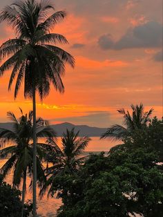 the sun is setting behind some palm trees and mountains in the distance, with an orange sky