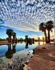 palm trees are reflected in the water at sunset