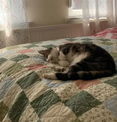 a cat laying on top of a bed next to a window