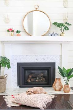 a living room with a fireplace, mirror and potted plants