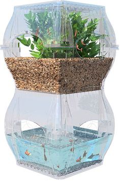 a fish tank filled with water and plants in it's bottom half, sitting on top of a rock