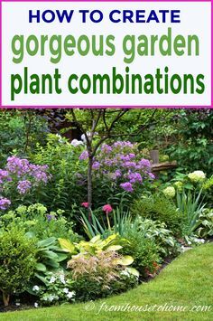 the book how to create gorgeous garden plant combinations