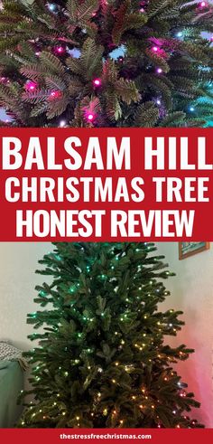 Learn everything you need to know about Balsam Hill Christmas trees to decide if they meet your holiday needs. Our review is entirely unpaid and honest, giving you a straightforward assessment of these sought-after Christmas trees. Free Christmas Movies, Christmas House Tour, Holiday Trees, Twinkly Lights, Business Christmas, Halloween Trees, After Christmas, Christmas Gift Guide, Magical Christmas