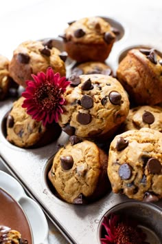 muffins with chocolate chips and a flower in the middle