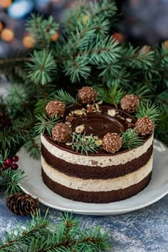 a chocolate cake sitting on top of a white plate covered in frosting and pine cones