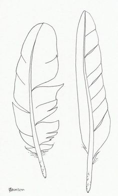 two different types of leaves are shown in this black and white drawing, one has a long tail