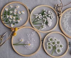 four embroidery hoops with white flowers on them