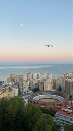 a bird flying over a city with the ocean in the backgrounnds