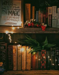 a shelf with books and lights on it