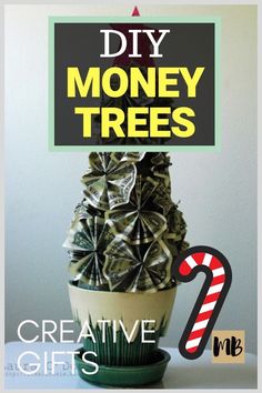 a potted plant with money in it and the words diy money trees above it