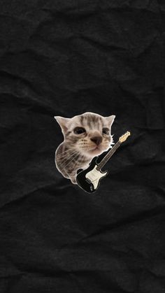 a cat with a guitar sticker on it's head is flying through the air