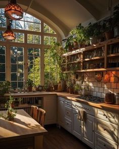 a kitchen filled with lots of potted plants next to a large window covered in sunlight