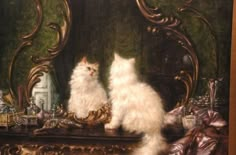 two white cats sitting on top of a table in front of a mirror and other items