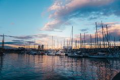 many boats are docked in the water at sunset