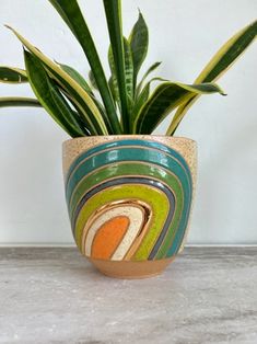 a potted plant sitting on top of a white counter next to a green leafy plant