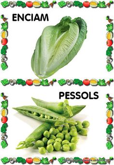 some vegetables are labeled with the words encam and pessols