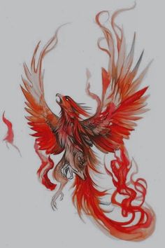 a drawing of a bird with red and orange feathers on it's back legs