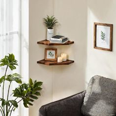 a living room filled with furniture and a potted plant on top of a table