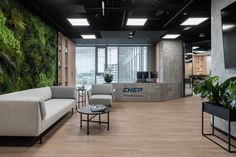 an office with couches, tables and plants on the wall