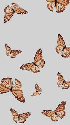 a group of butterflies flying through the air