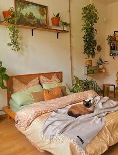 a cat laying on top of a bed in a room with plants and potted plants