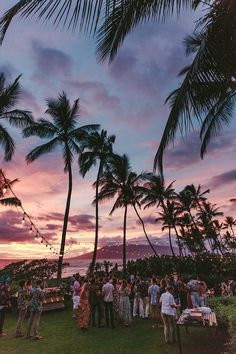 a group of people standing on top of a lush green field next to palm trees