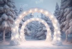 an arch with lights in the middle of a snowy forest