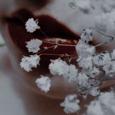 snow flakes are on the ground and in front of a red lips shaped like a flower