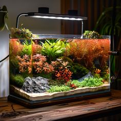 an aquarium filled with plants and rocks on top of a wooden table next to a plant pot