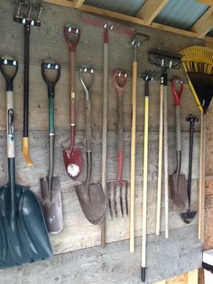 a bunch of shovels are hanging on the wall next to some rakes and gardening implements