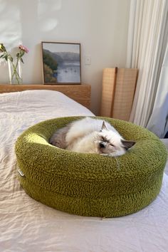 a white cat laying in a green bed