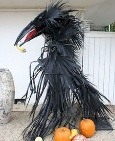 a bird made out of black feathers sitting next to pumpkins