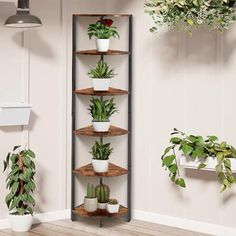 a corner shelf filled with potted plants on top of a hard wood floor