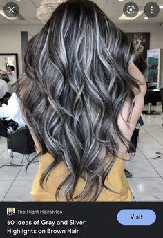 Gray Highlights Brown Hair, Brown Hair With Silver Highlights, Ash Blonde Highlights, Bronde Hair, Dark Hair With Highlights