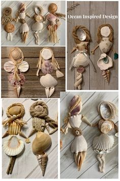 several pictures of seashells and sea shells in different shapes, sizes and colors