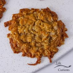 an oatmeal cookie sitting on top of a white plate