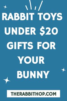 rabbit toys under $ 20 gifts for your bunny