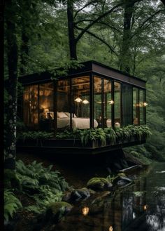 a house in the middle of a forest surrounded by trees and plants with lights on