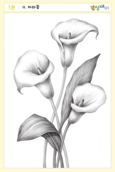 a drawing of three white flowers with green leaves