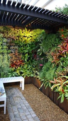 an outdoor area with plants and a bench