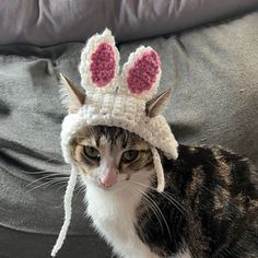 Star Crafts, Cat Hat Pattern, Crochet Dog Hat, Cat Hats, Easter Cats, Crochet Pet, Hat Patterns Free, Easter Crochet Patterns