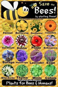 save the bees poster with many different flowers