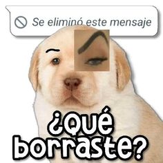 a dog with a nose mark on it's forehead and the caption says, que borrastee?